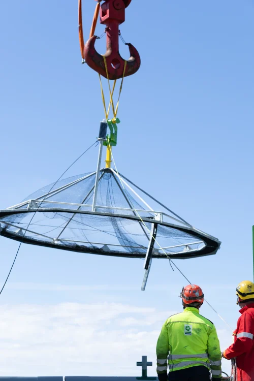 OWF_Offshore_Wind_Farm44