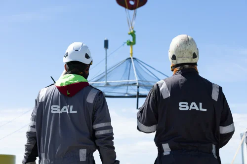 OWF_Offshore_Wind_Farm45